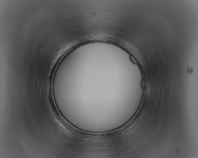 X0000091710578200708240958
