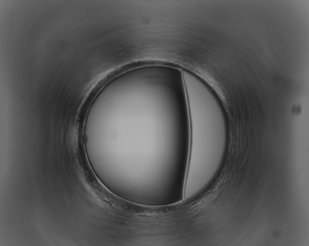 X0000091710580200708240958
