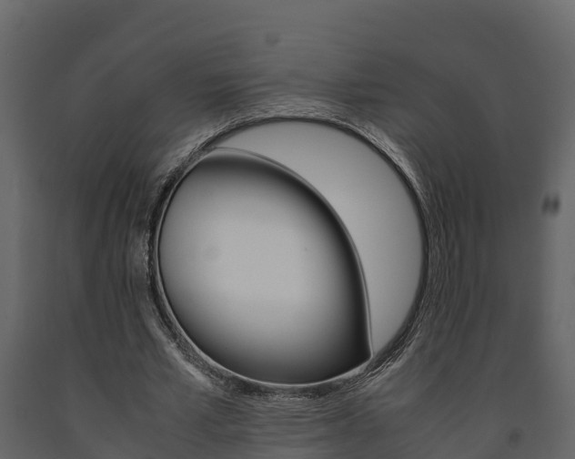 X0000091710581200708240958