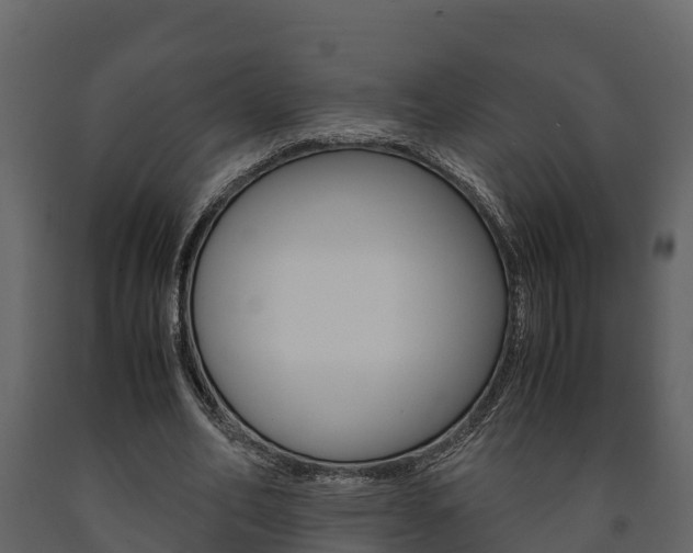 X0000091710582200708240958