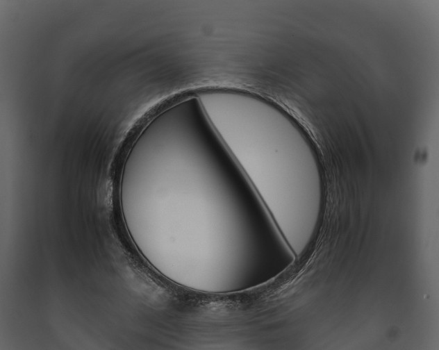 X0000091710584200708240958