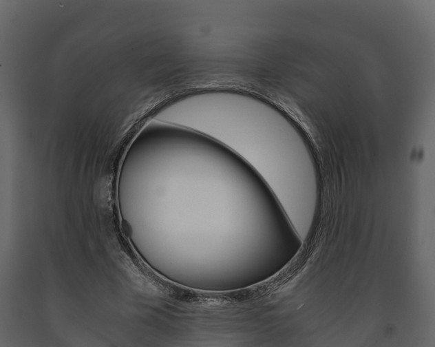 X0000091710585200708240958