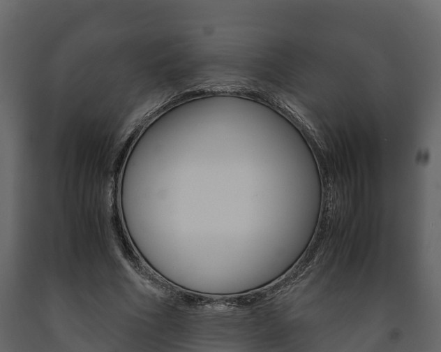X0000091710586200708240958