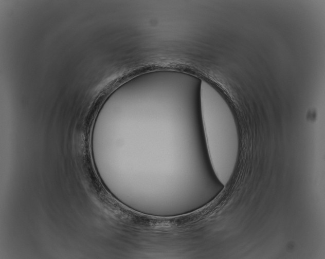 X0000091710587200708240958