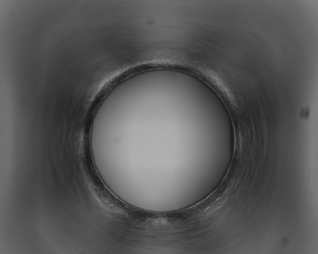 X0000091710588200708240958