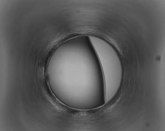 X0000091710589200708240958