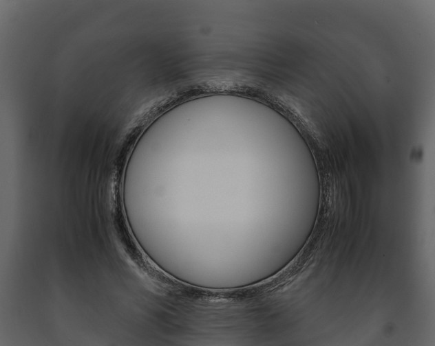 X0000091710590200708240958