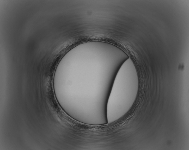 X0000091710591200708240958