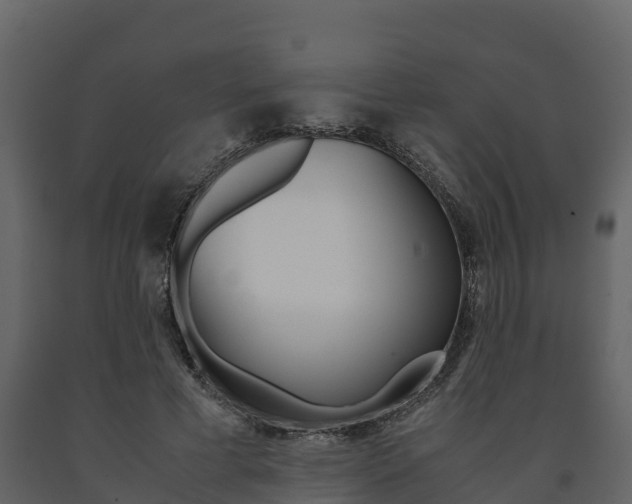 X0000091710593200708240958