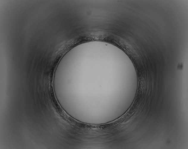 X0000091710594200708240958