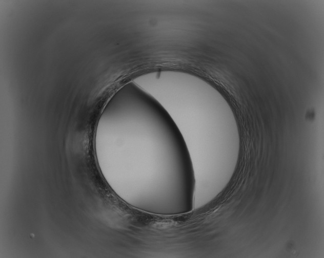 X0000091710595200708240958