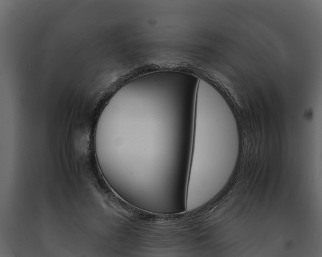 X0000091710596200708240958