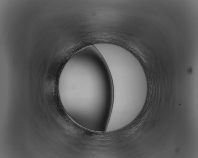 X0000091710597200708240958