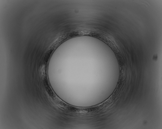X0000091710598200708240958