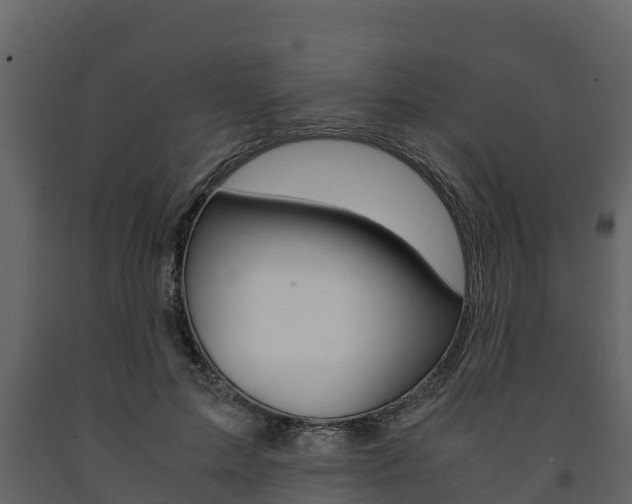 X0000091710599200708240958