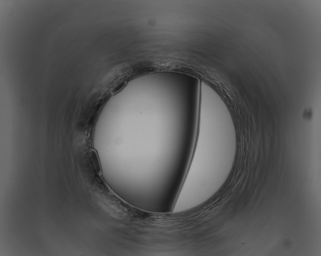X0000091710601200708240958