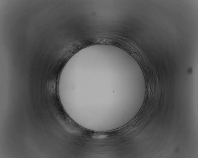 X0000091710602200708240958