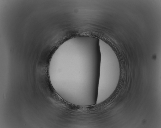 X0000091710603200708240958