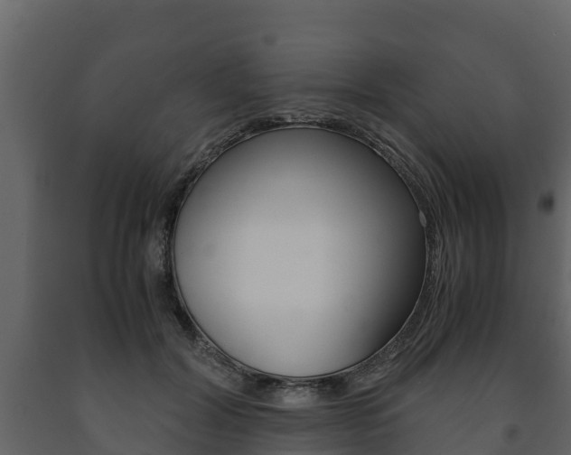 X0000091710604200708240958