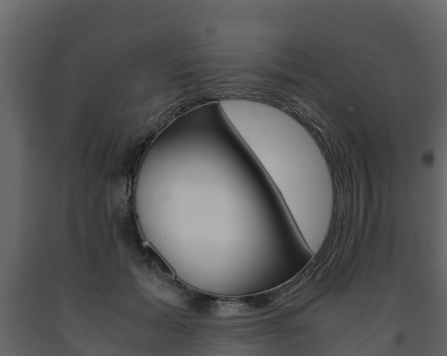 X0000091710605200708240958