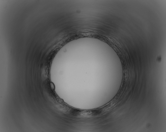 X0000091710606200708240958