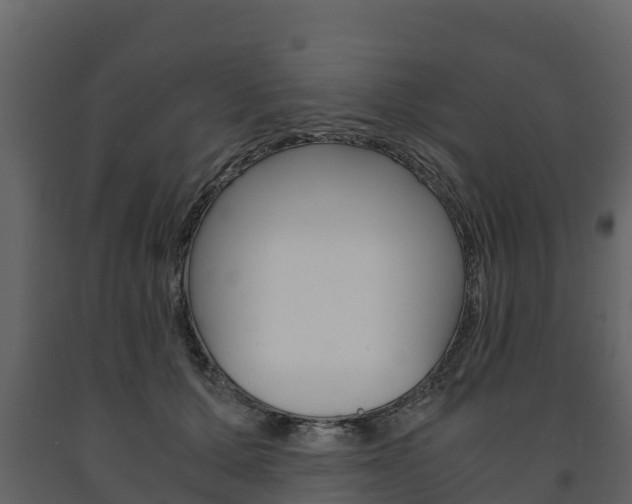 X0000091710607200708240958