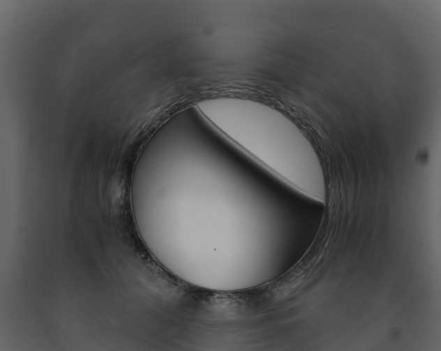 X0000091710608200708240958