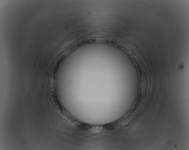 X0000091710609200708240958
