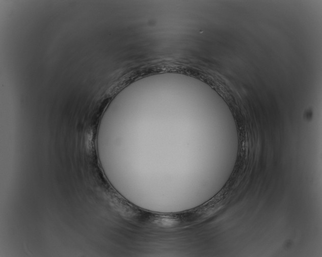 X0000091710610200708240958