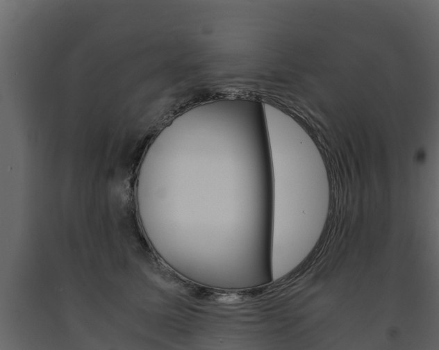 X0000091710611200708240958