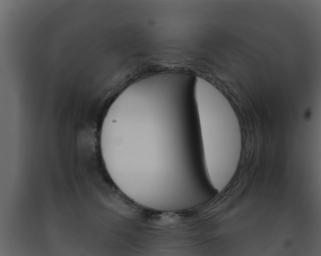 X0000091710612200708240958