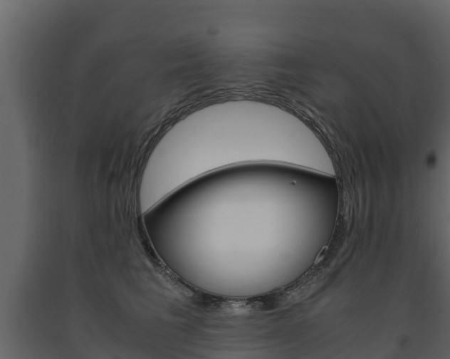 X0000091710613200708240958