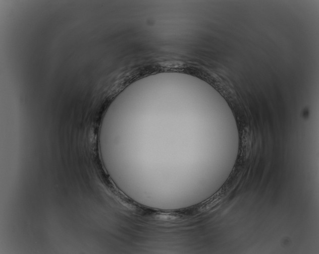 X0000091710614200708240958