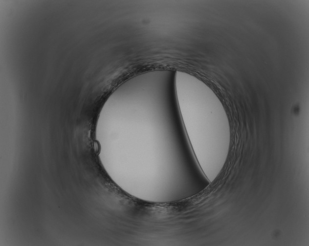X0000091710615200708240958