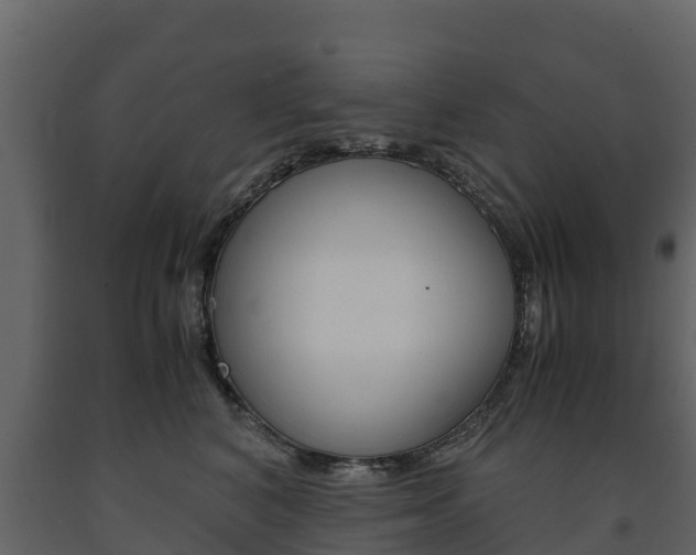 X0000091710616200708240958