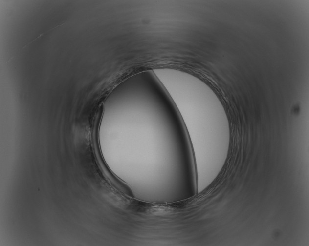 X0000091710617200708240958