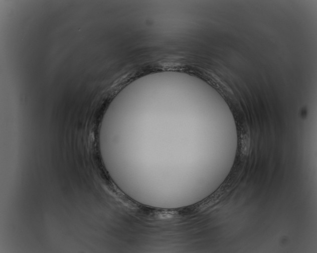X0000091710618200708240958