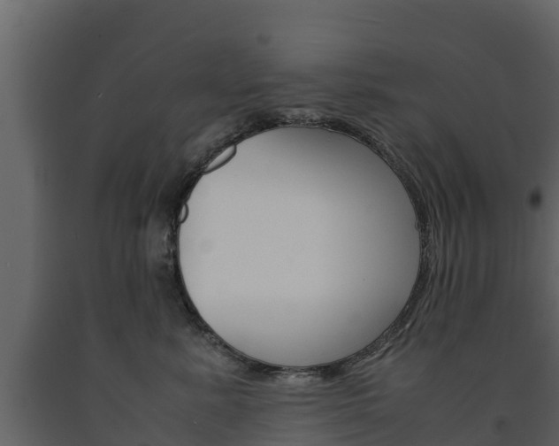 X0000091710619200708240958