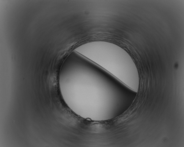 X0000091710620200708240958