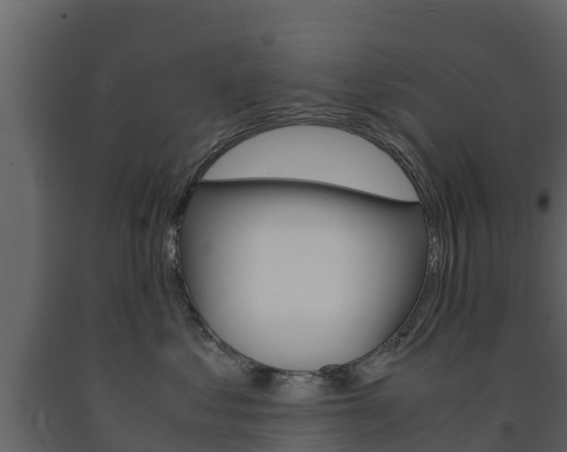 X0000091710621200708240958