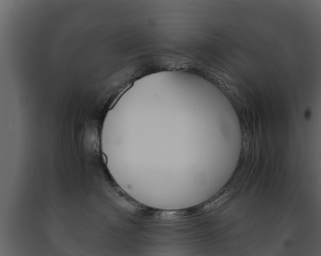 X0000091710622200708240958