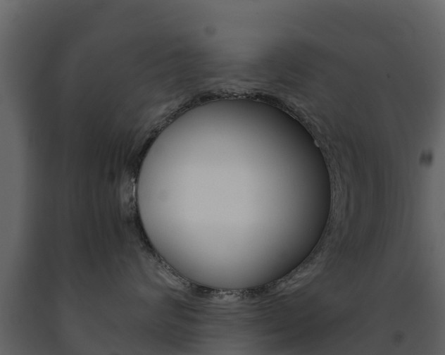 X0000091710624200708240958
