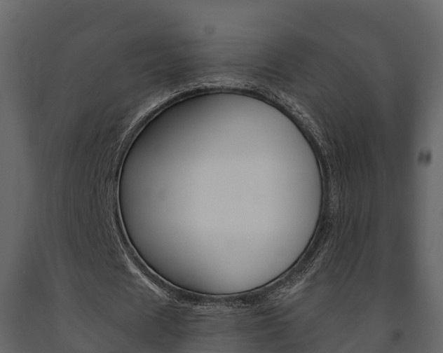 X0000091710625200708240957