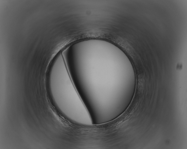 X0000091710626200708240957