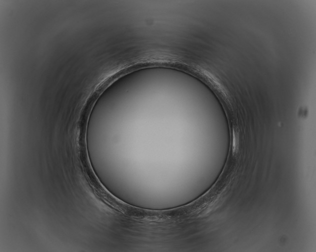 X0000091710627200708240957