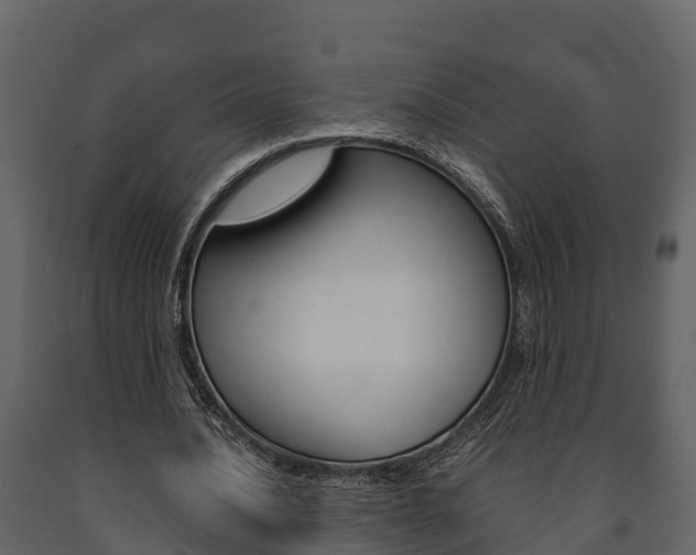 X0000091710628200708240957