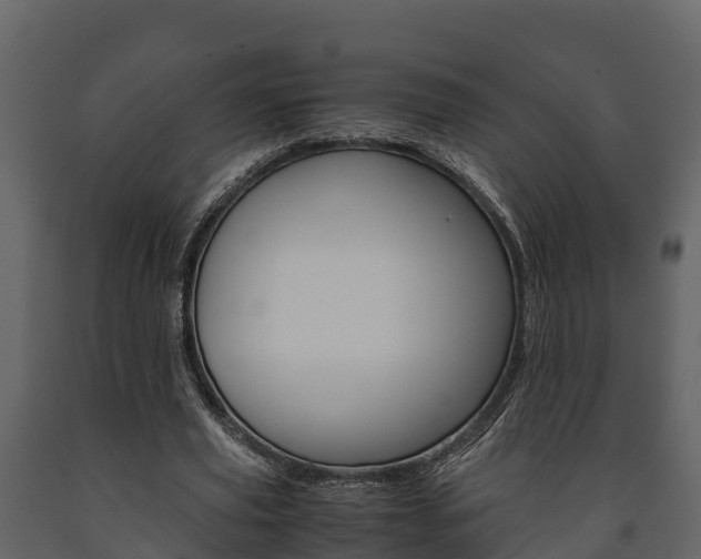X0000091710629200708240957