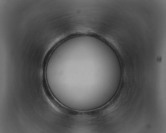 X0000091710630200708240957