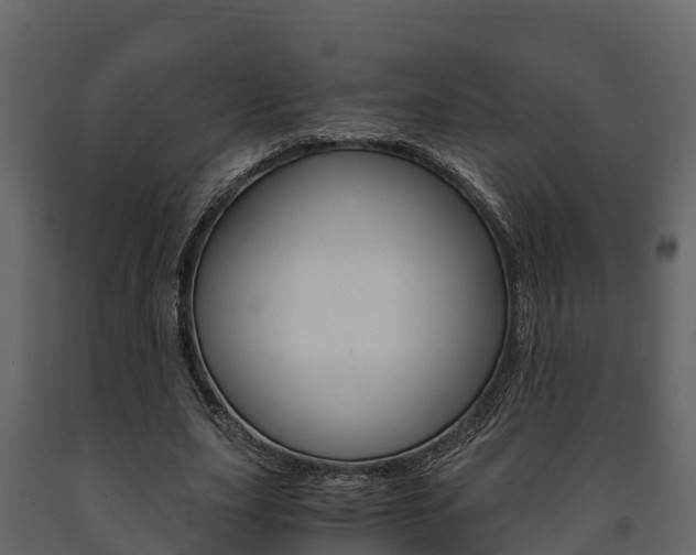 X0000091710631200708240957