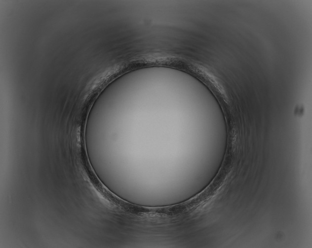 X0000091710633200708240957